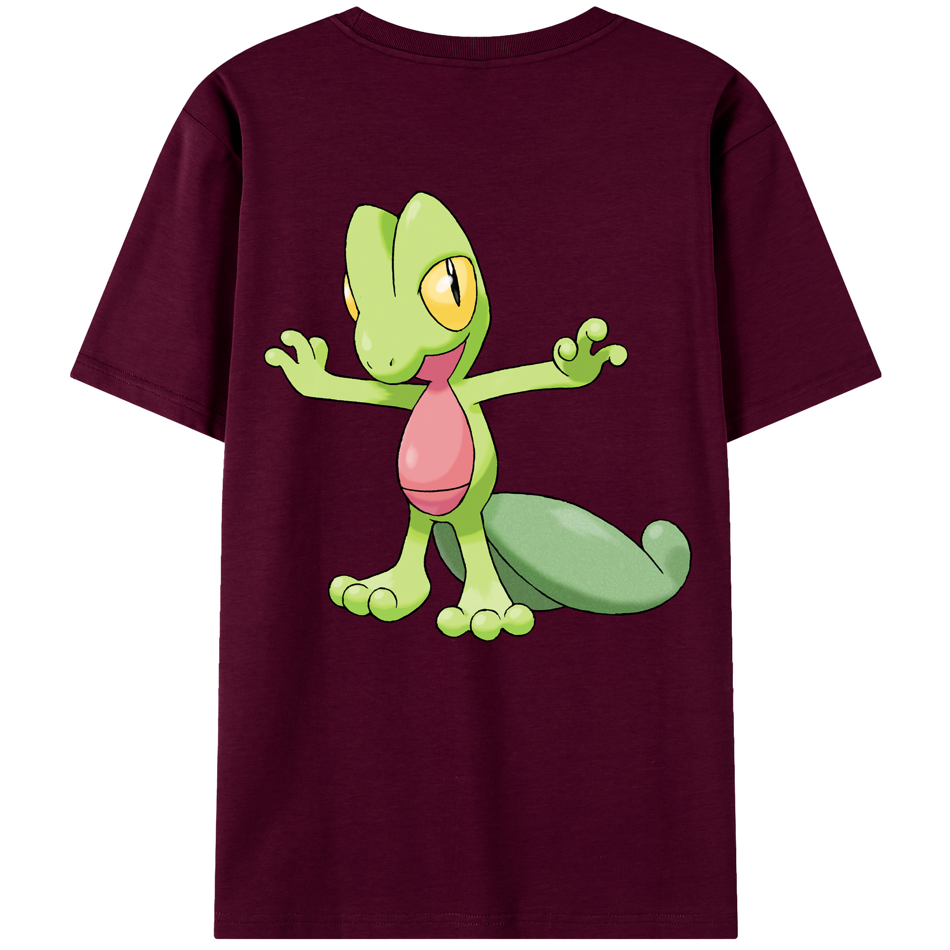 （画像用） ポケットモンスター Pokémon レディース半袖Tシャツ(バックプリント)